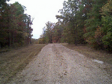 Unkept Driveway after Driveway Groomer™